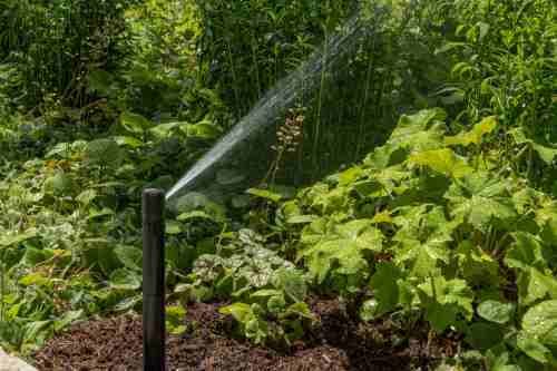 Commercial-Irrigation-9378