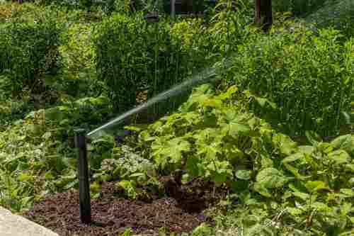 Commercial-Irrigation-9379