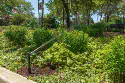Commercial-Irrigation-9381