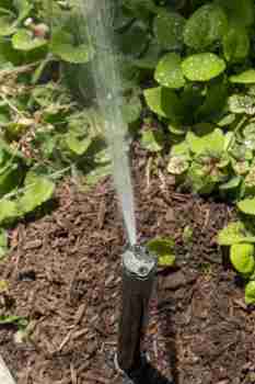 Commercial-Irrigation-9382