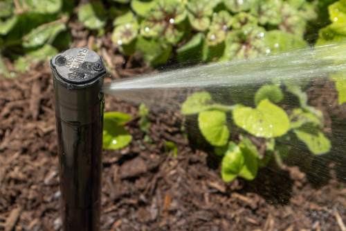 Commercial-Irrigation-9384