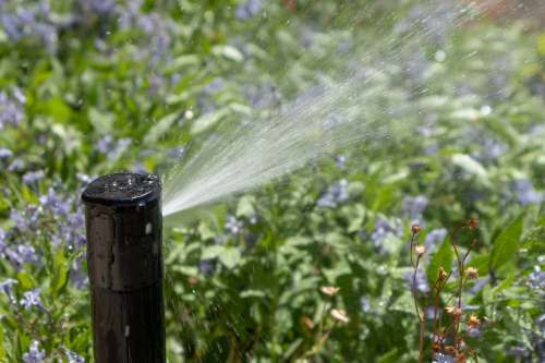 Commercial-Irrigation-9385