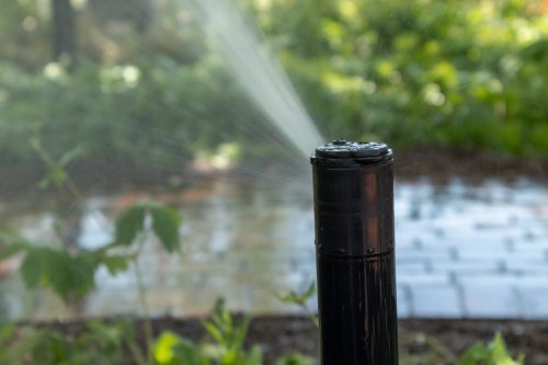 Commercial-Irrigation-9386