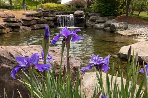 patio-firepit-fireplace-outdoor-kitchen-8784