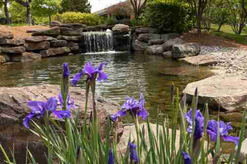 patio-firepit-fireplace-outdoor-kitchen-8788
