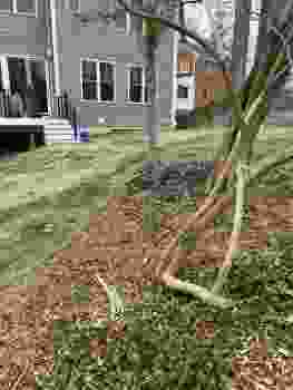 patio-firepit-fireplace-outdoor-kitchen-Jenkins-Before-11