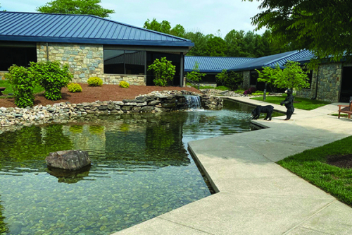 Hardscaping-Pond