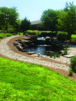 Water-Features-Commercial-work-IMG-3776-