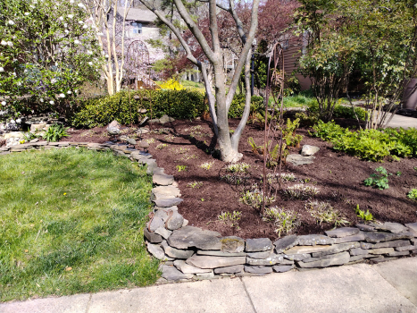 Commercial-Landscaping-Installation-Mulching