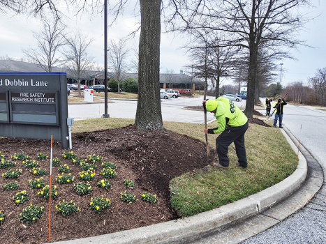 Landscape-Pruning-Mulching-eos