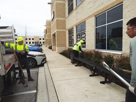 Landscape-Pruning-Planting-Maryland