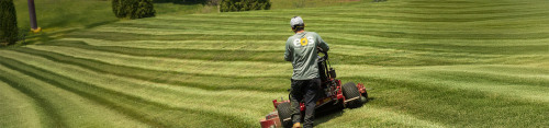 commercial-lawn-maintenance
