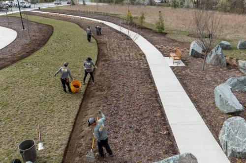 Commercial-Lawn-Maintenance-5561