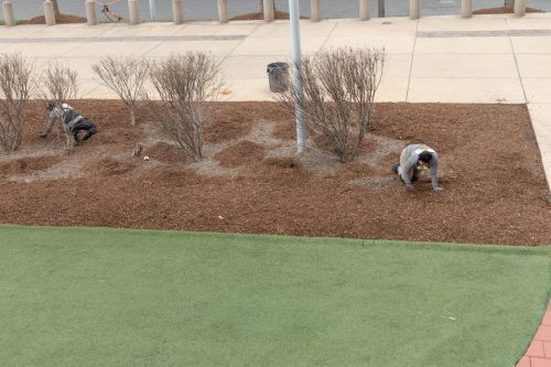 Commercial-Lawn-Maintenance-5587