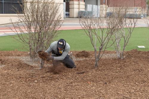 Commercial-Lawn-Maintenance-5595