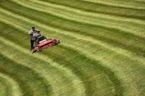 Commercial-Lawn-Maintenance-8992