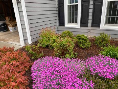 landscape-maintenance_5819