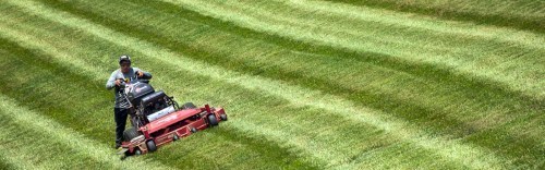lawn-maintenance