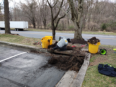 Storm-Drain-Clean-Up-Maryland