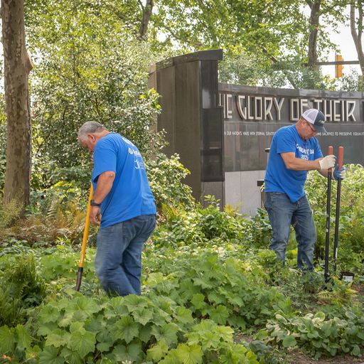Landscape planting and installation service by eos Outdoor Services in Howard County Maryland