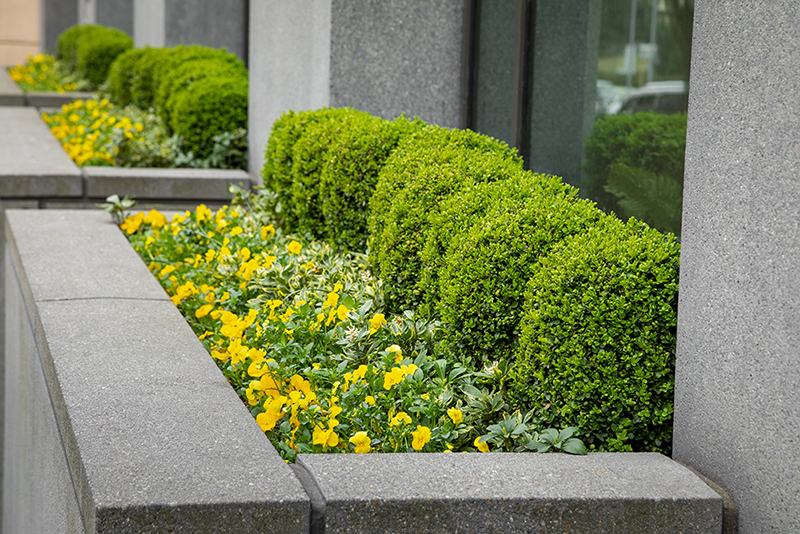 eos Outdoor Services | Managing Tight Landscaping Budgets