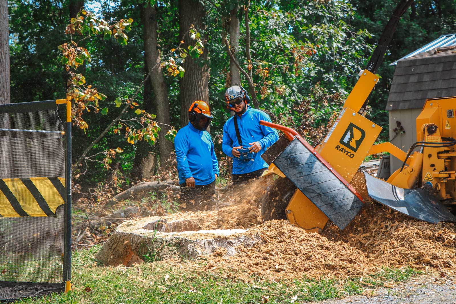 eos Outdoor Services tree services crew performing tree removal in Maryland