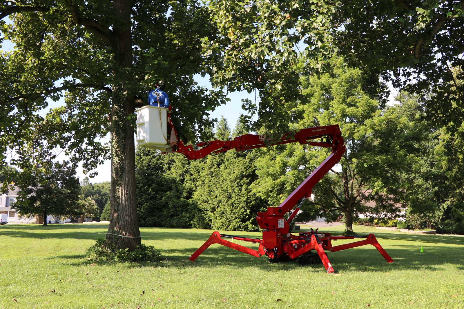 Tree pruning and trimming service in Howard County Maryland by eos Tree Services