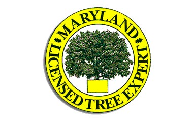 Maryland Certified Tree Expert logo