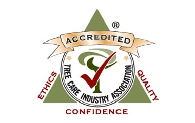 TCI – Tree Care Industry member logo