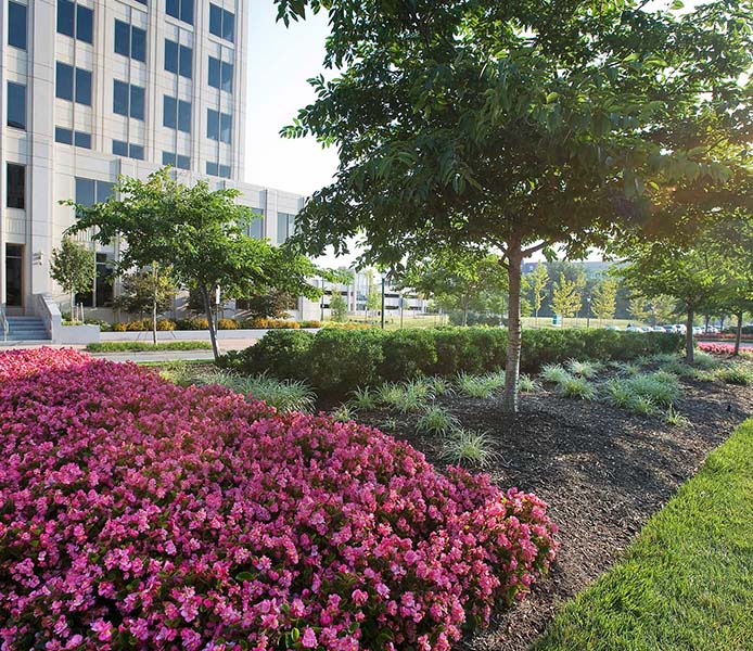 Commercial-Landscaping-Design-Flowerbed