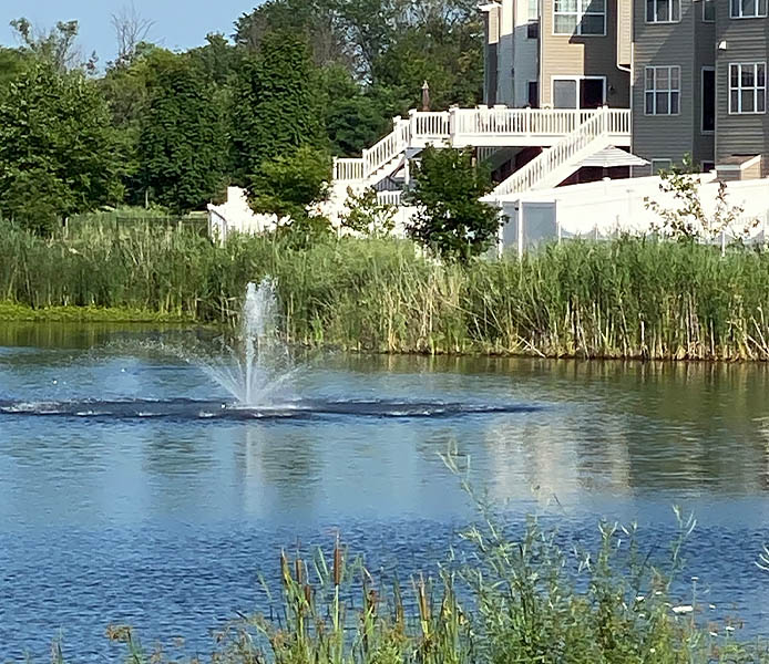 Maryland Lake Fountain