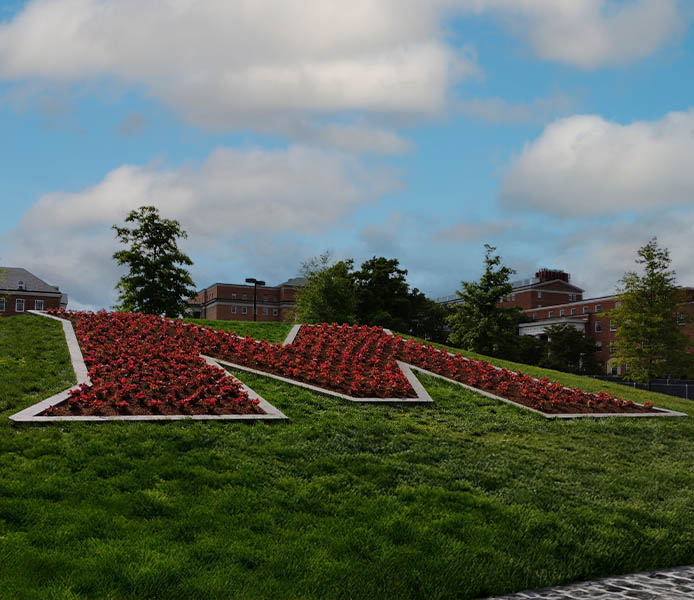 University of Maryland landscaping