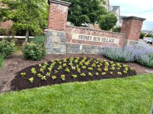 A landscape installation in Howard County Maryland