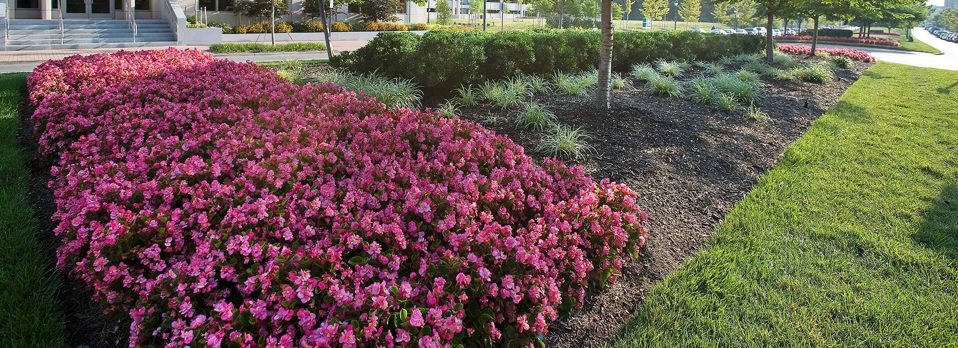 Commercial landscape design with flowerbed installation in Ellicott City and Howard County MD by eos Outdoor Services
