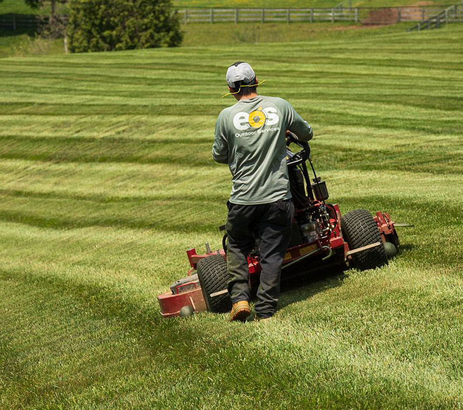 Landscape Maintenance In Howard County, MD