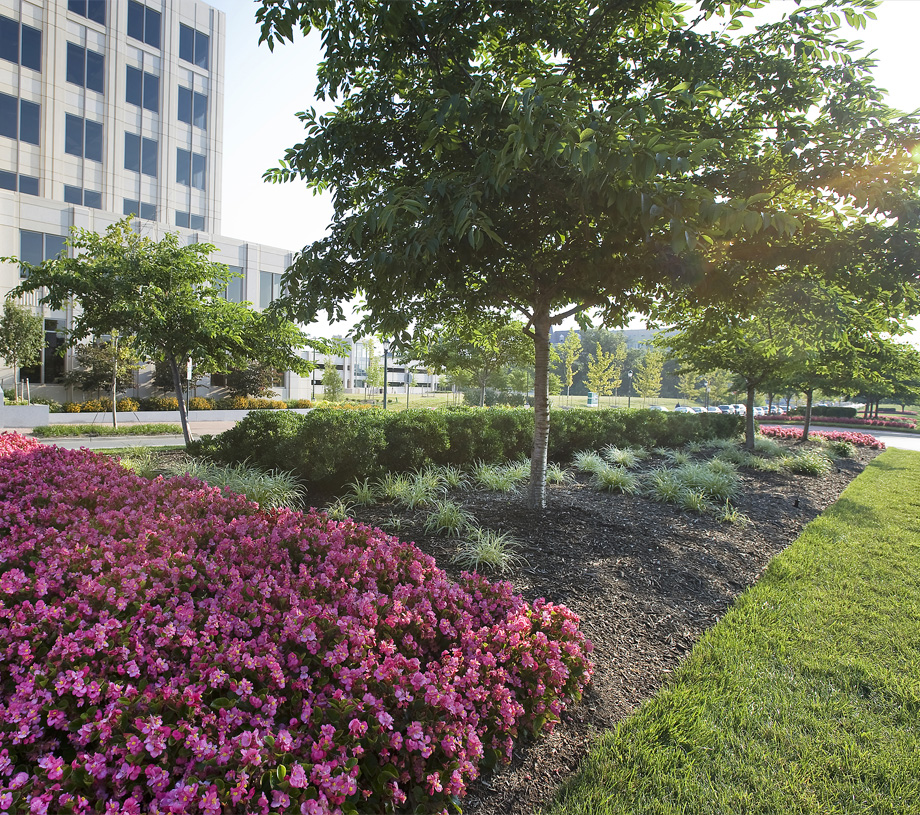 Commercial Landscape Installation In Howard County, MD