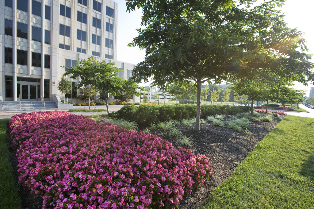 Tree Planting, Commercial Flower Planting, Outdoor Lighting in Ellicott City, Glenelg, Dayton, Glenwood, Columbia, Highland, MD