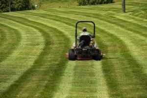 Commercial Landscape Maintenance​ in Ellicott City, Glenelg, Dayton, Glenwood, Columbia, Highland, MD, Throughout Howard County