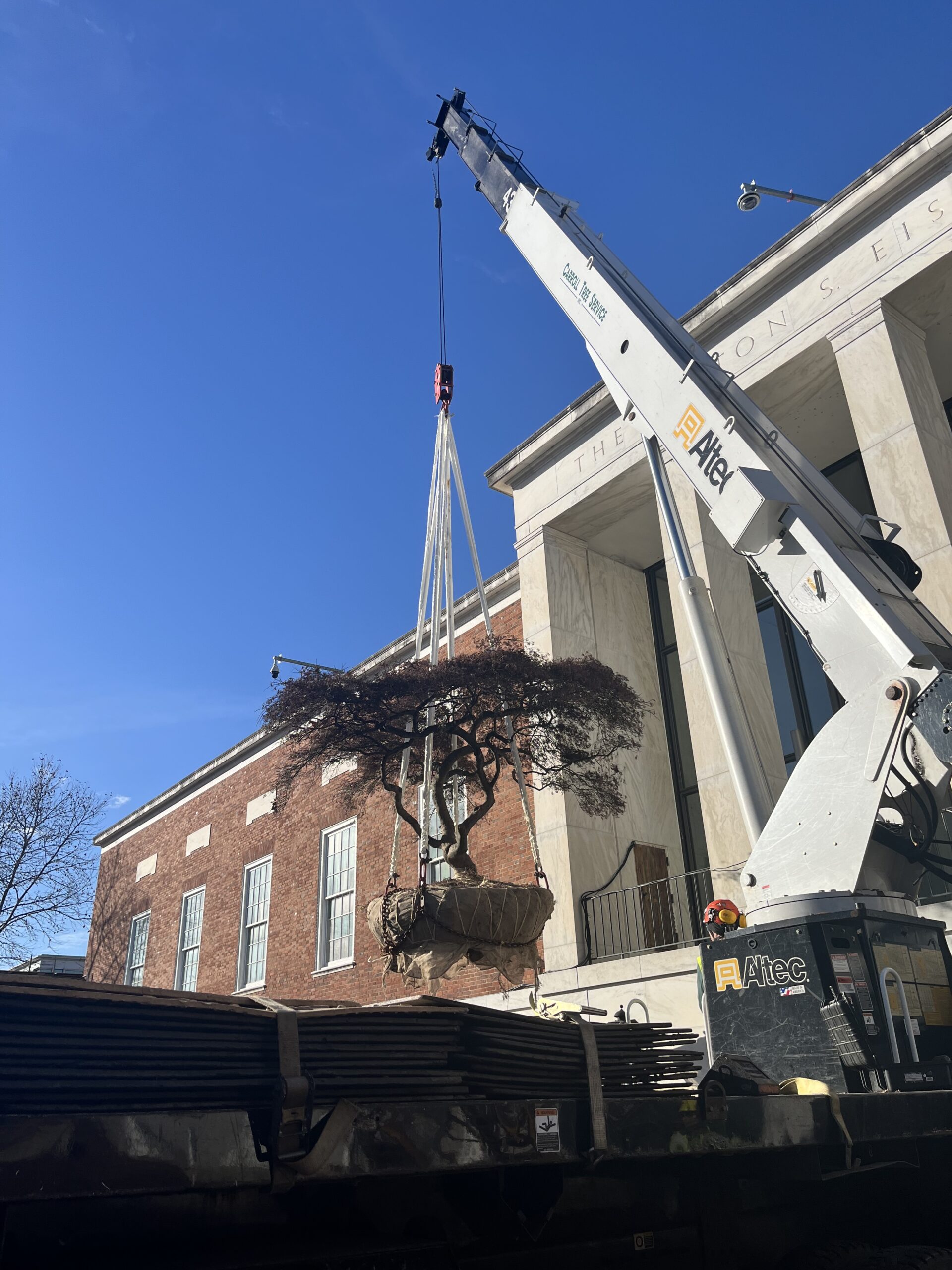 Crane-Assisted Tree Removal, Retaining Walls, Pergolas & Water Features in Howard and Frederick Counties, Throughout Maryland