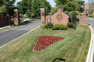 Why Choose eos Outdoor Services for Tree & Shrub Planting in Howard and Frederick Counties, and Throughout the State of Maryland?
